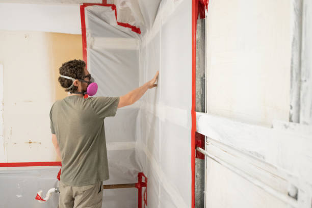Best Attic Mold Removal  in Dover, NH
