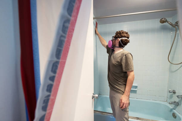 Asbestos and Lead Testing During Mold Inspection in Dover, NH