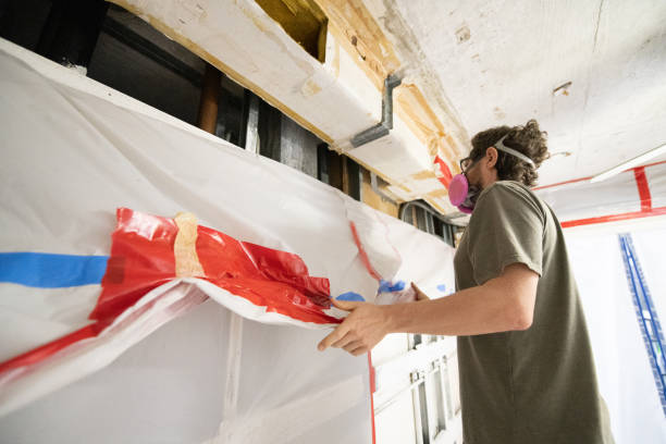 Best Real Estate Mold Inspection  in Dover, NH