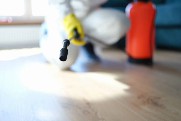 Best Mold Prevention Services  in Dover, NH